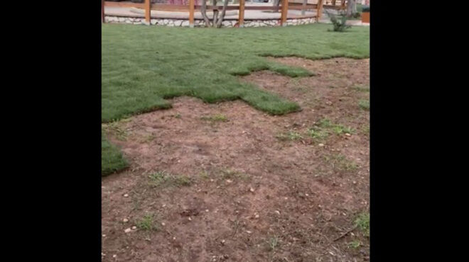 ελληνικό-εκλεψαν-γκαζόν-από-παιδική-χ-563421886