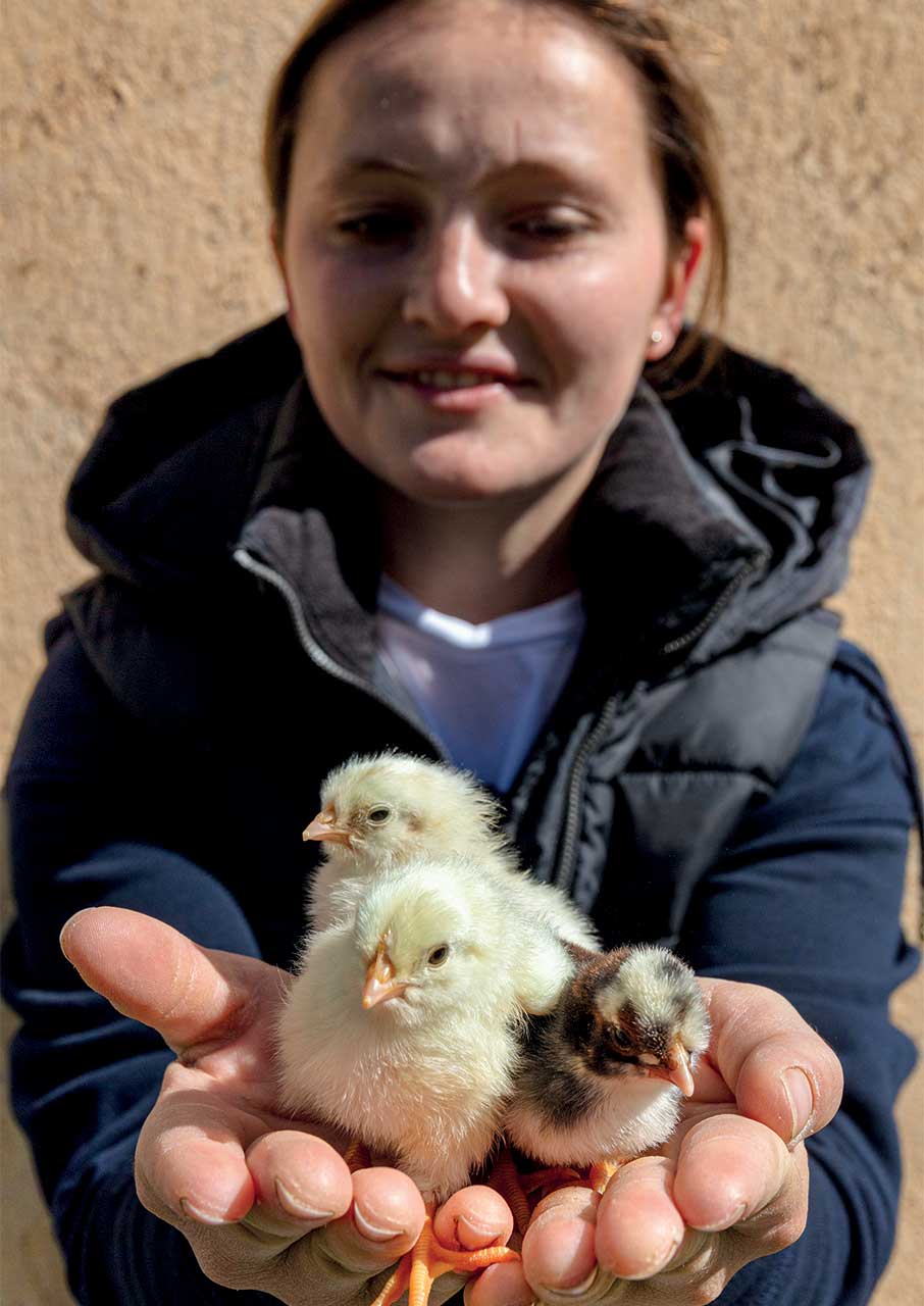 Αβερώφειος Γεωργική Σχολή: Παράδοση και καινοτομία στην αγροτική εκπαίδευση-7