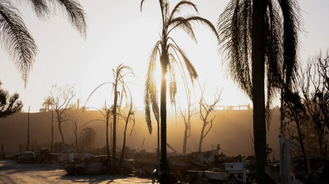 λος-αντζελες-παρεμβάσεις-στο-σύστημα-563414155