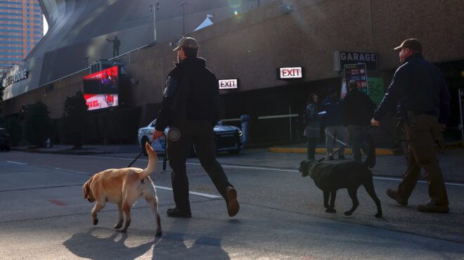 νέα-ορλεάνη-μοναχικός-λύκος-ο-δράστ-563399620
