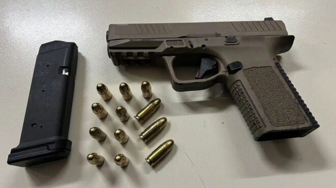 περιστέρι-συνελήφθη-21χρονος-με-πιστόλ-563410990