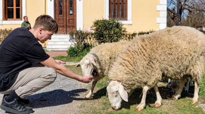 αβερώφειος-γεωργική-σχολή-παράδοση-κ-563433778