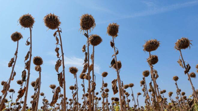 καμπανάκι-οηε-για-την-αύξηση-της-θερ-563410948