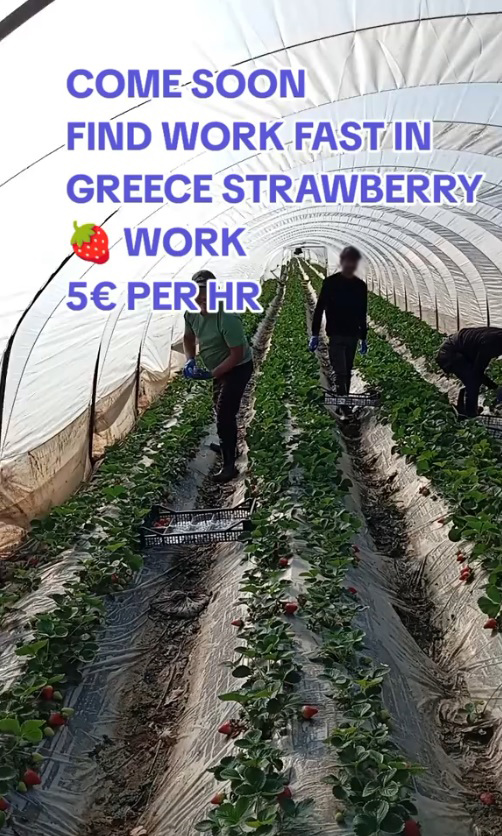 Από το Tik Tok στις νέες «Μανωλάδες»-1