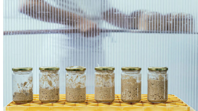 το-δυνατό-προζύμι-των-6-ημερών-563436268