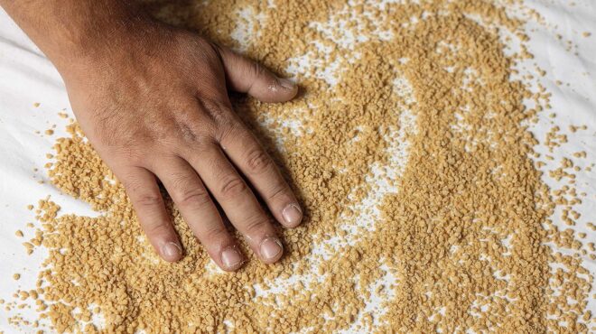 χειροποίητος-τραχανάς-γλυκός-αλευρέ-563408542