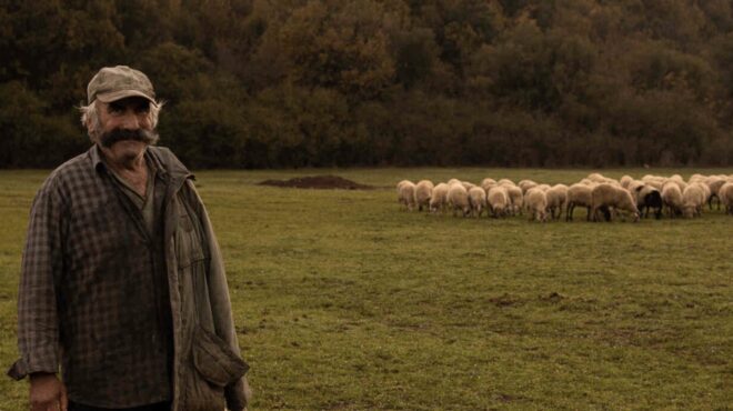 οι-τελευταίοι-κτηνοτρόφοι-της-πίνδου-563437486