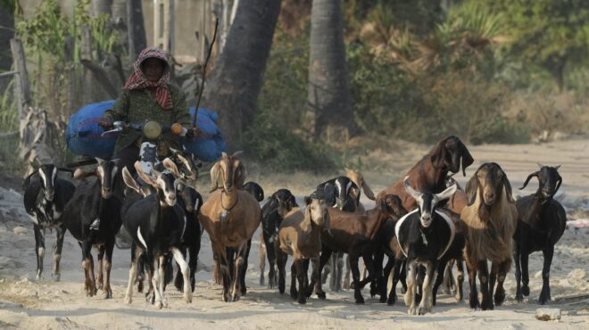 εντός-και-εκτός-η-ελλάδα-στο-συμβούλιο-563477518