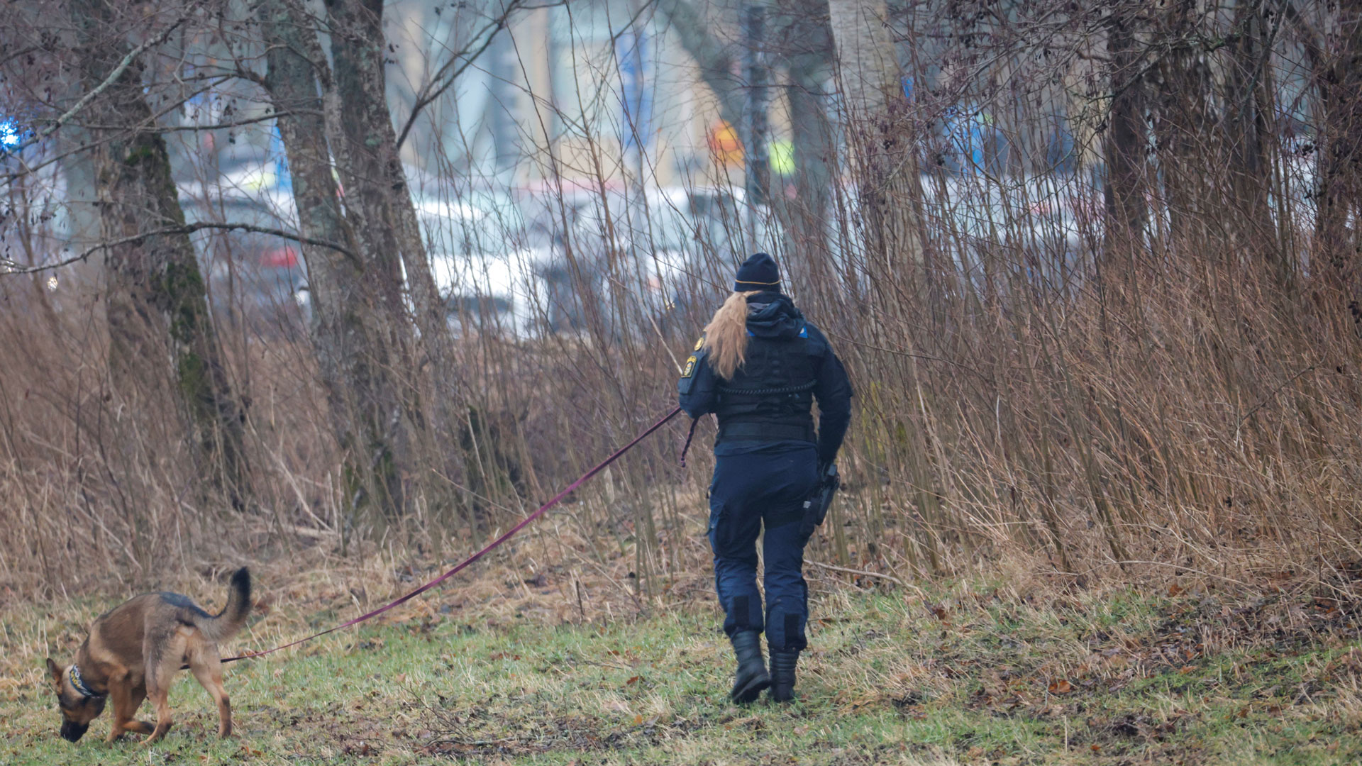 Σουηδία: Ενοπλη επίθεση σε σχολείο – Αναφορές για 10 νεκρούς-5