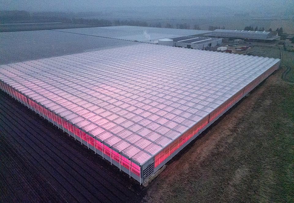 Ο στρατιώτης καλλιτέχνης-2