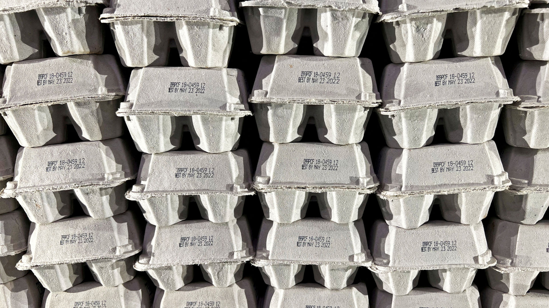 ΗΠΑ: Η μεγάλη ληστεία των 100.000 αυγών-1