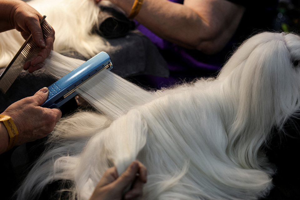 Η εκπαίδευση-3