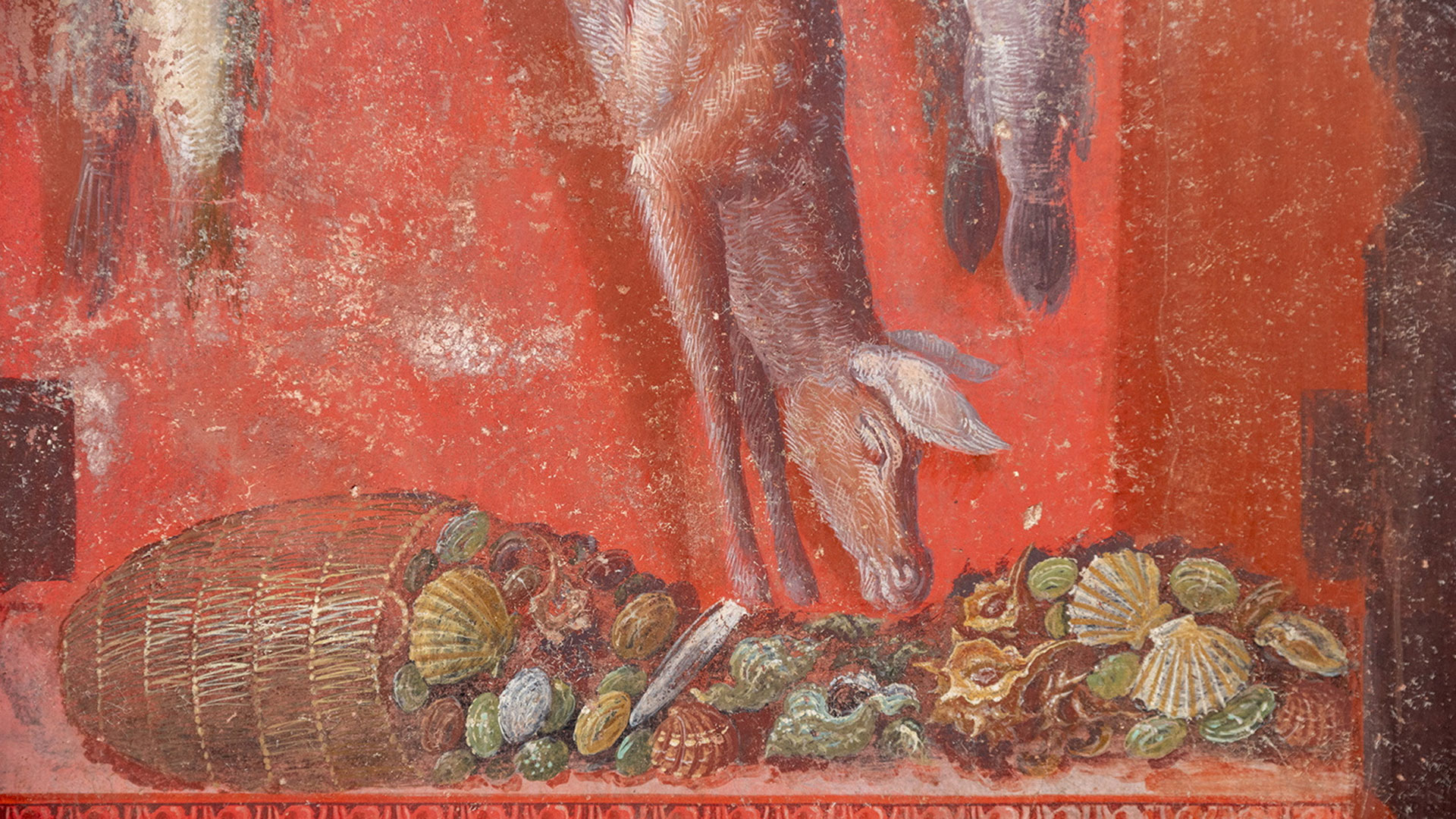 Πομπηία: Στο φως τοιχογραφίες με Διονυσιακά Μυστήρια-3