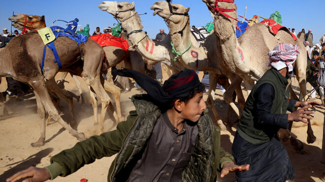 αγώνες-καμήλας-563490790