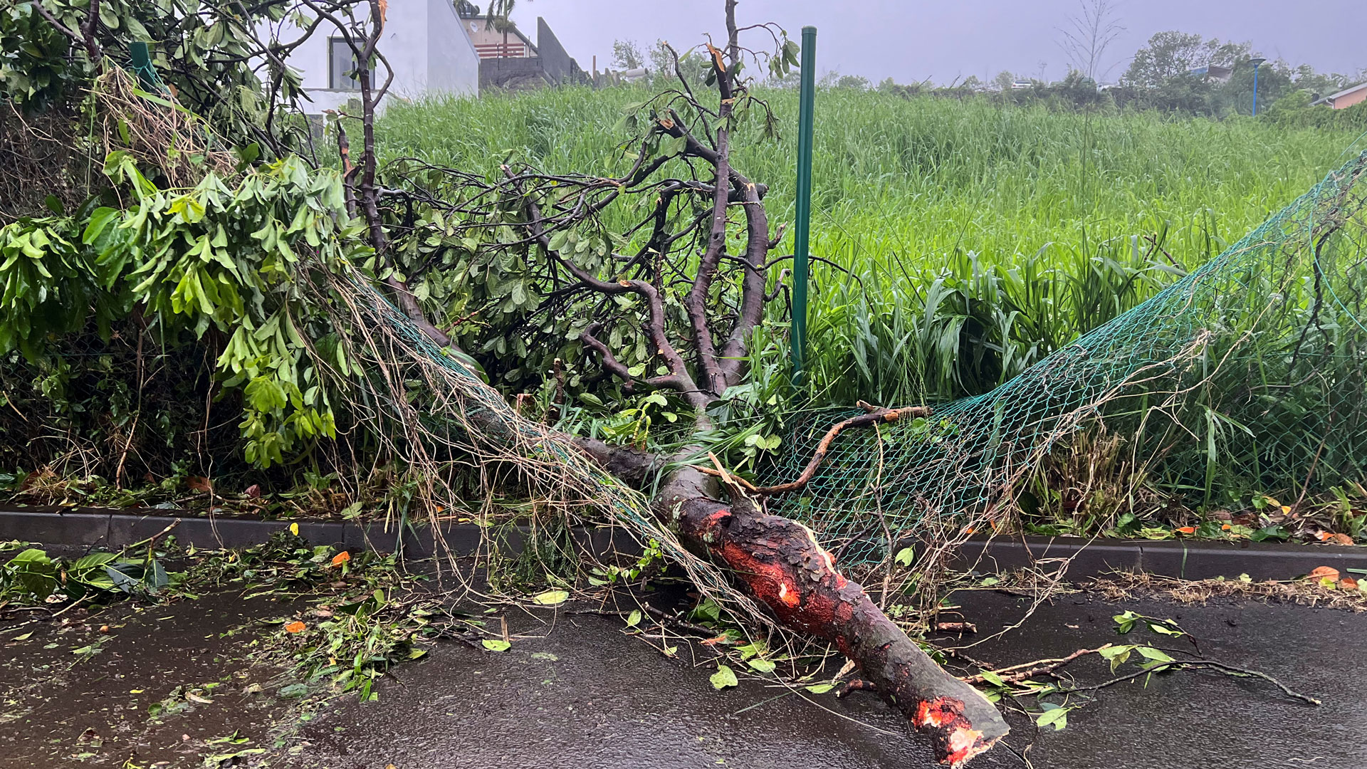 Κυκλώνας έπληξε γαλλικό νησί στον Ινδικό – Τουλάχιστον 3 νεκροί-2