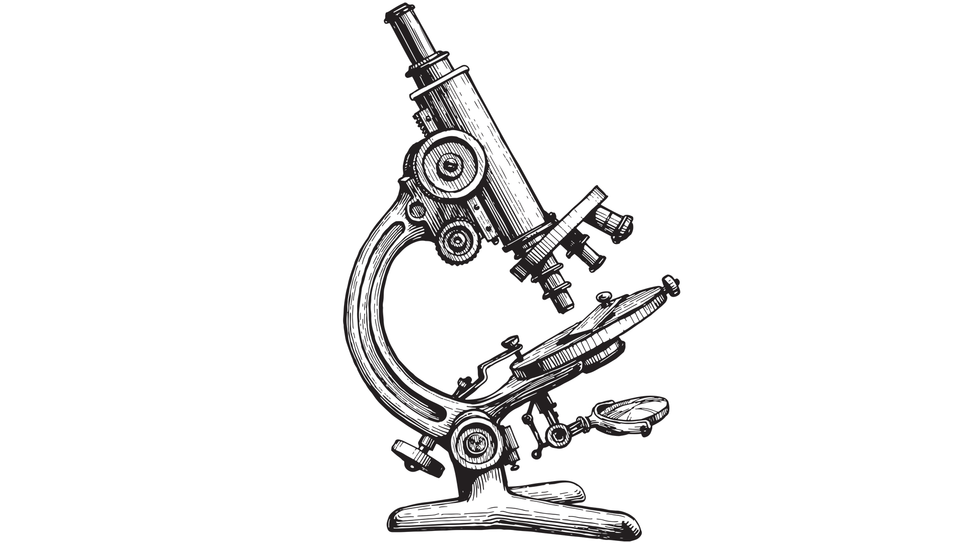 γιατί-ναυαγεί-το-συμβούλιο-για-την-έρε-563461033