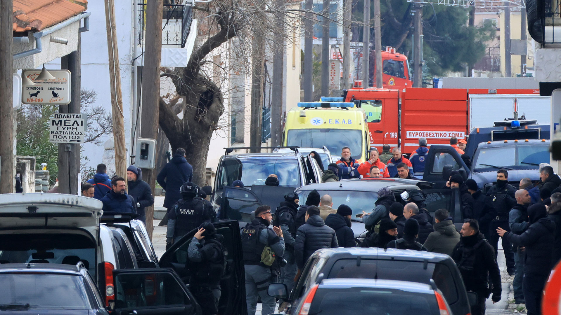 Διπλό φονικό στη Λάρισα: Αυτοκτόνησε ο δράστης-5