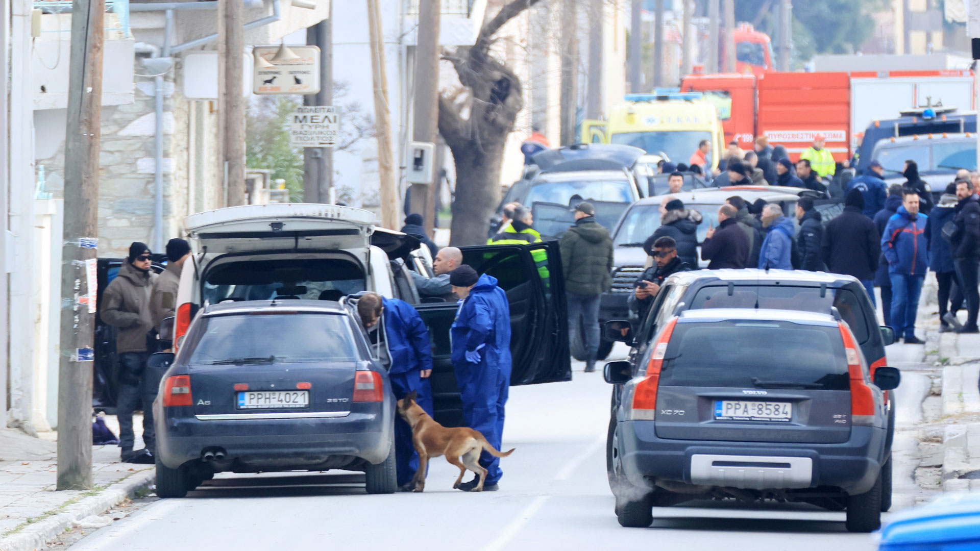 Διπλό φονικό στη Λάρισα: Αυτοκτόνησε ο δράστης-6