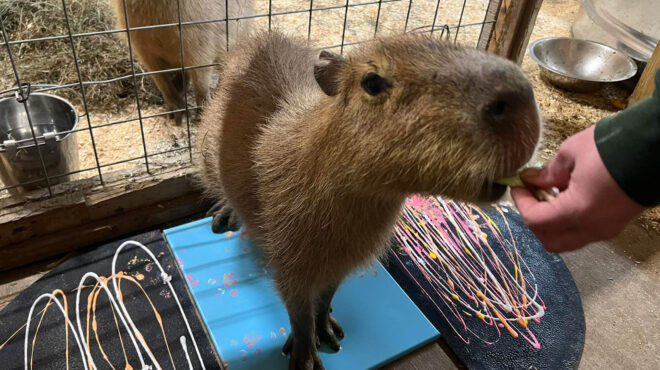 νέα-υόρκη-σε-δημοπρασία-έργα-διά-χειρ-563474536