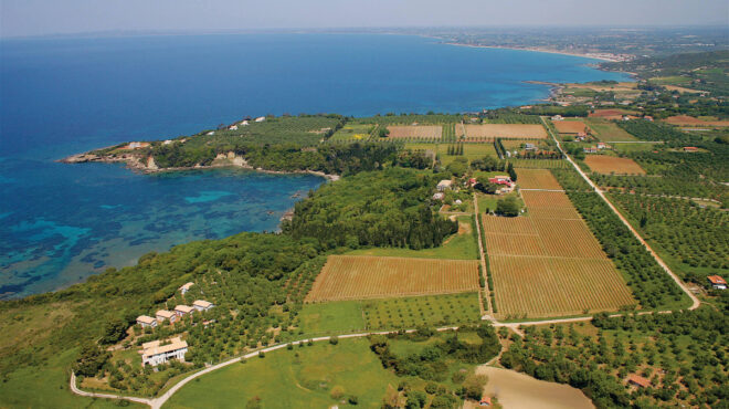 το-μετέωρο-βήμα-ενός-ιστορικού-οινοπο-563467543
