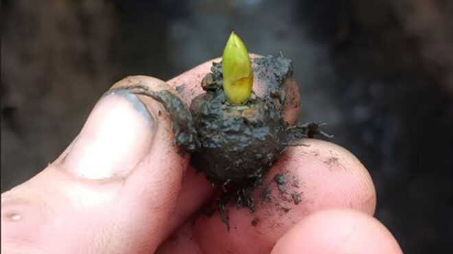 ουκρανία-3-χρόνια-αντίστασης-εκδή-563480809