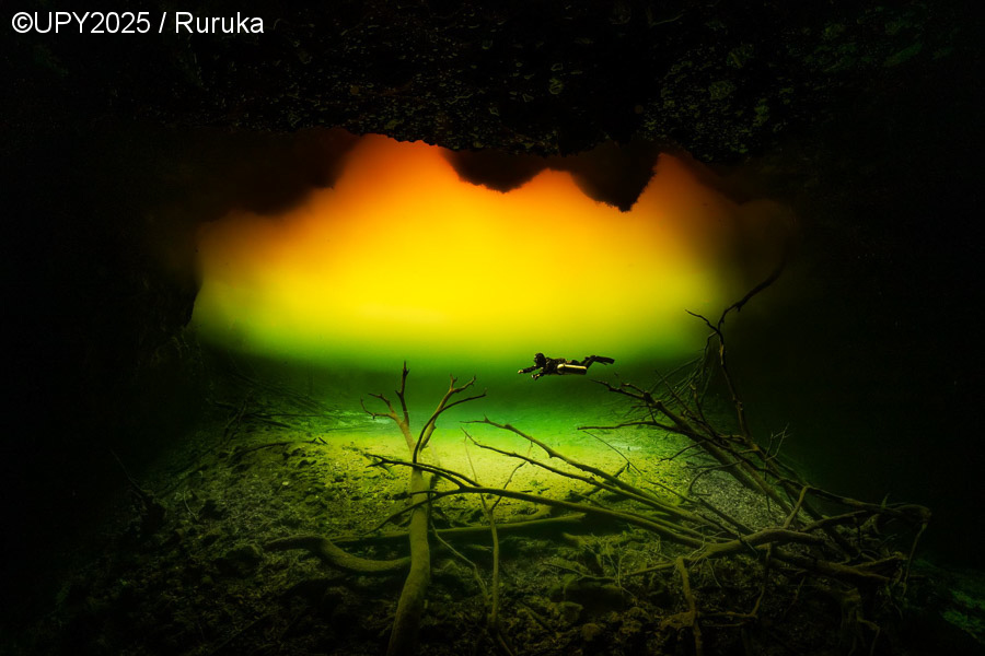 Ετήσιος διαγωνισμός υποβρύχιας φωτογραφίας: Ο πλούτος κάτω από την επιφάνεια του νερού-1