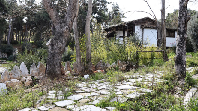 παιδικός-κήπος-πικιώνη-η-αναβίωση-ενό-563483185