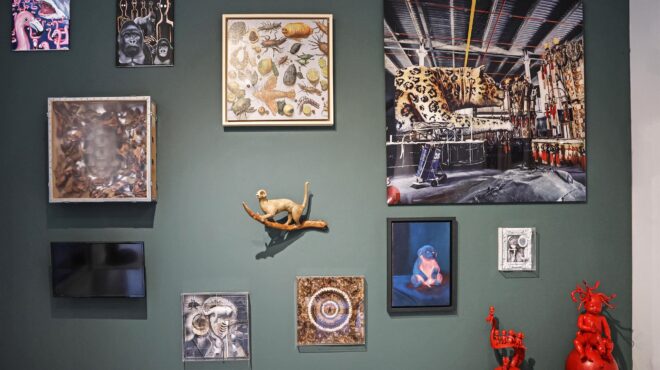 κουκούλι-του-παραλόγου-563465143