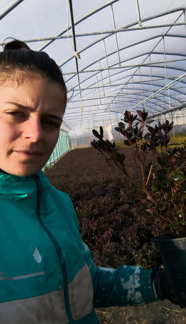 Από τους ελαιώνες της Κρήτης έως τα αμπέλια της Ελβετίας-1