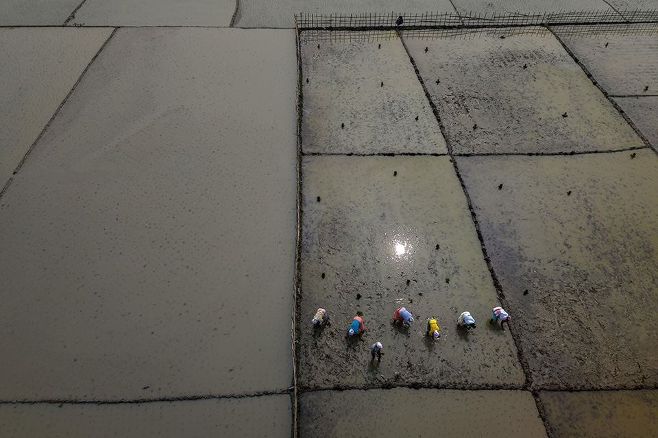 Κινητό και οδήγηση; Οχι στην Ολλανδία-3