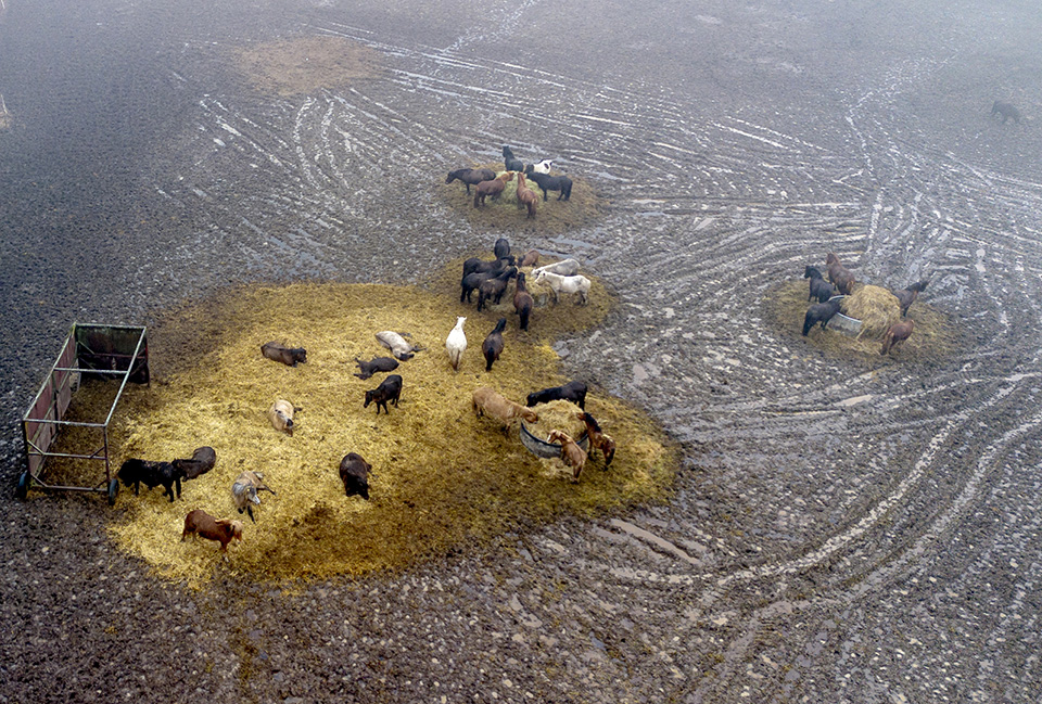 Η εκπαίδευση-1