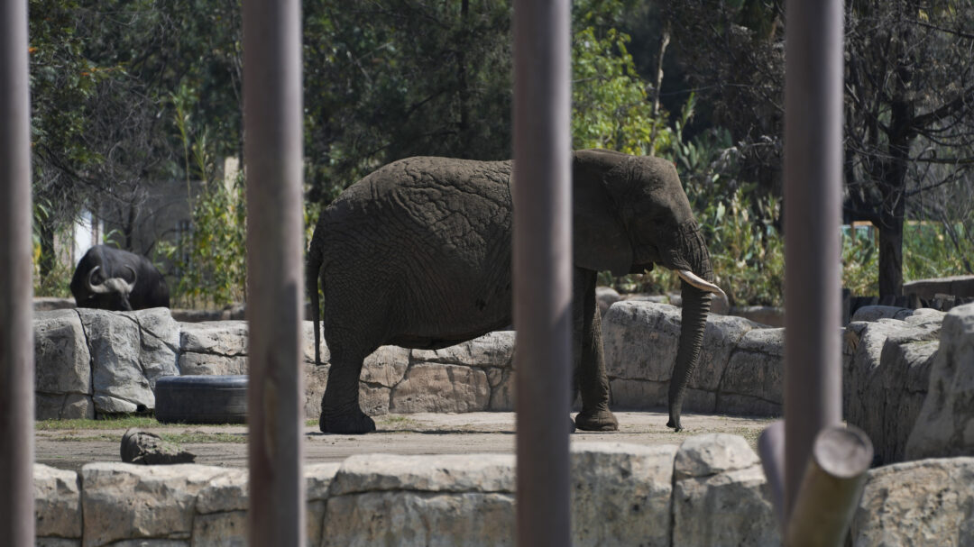 μεξικό-το-ανώτατο-δικαστήριο-δικαίωσ-563491999
