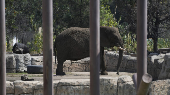 μεξικό-το-ανώτατο-δικαστήριο-δικαίωσ-563491999
