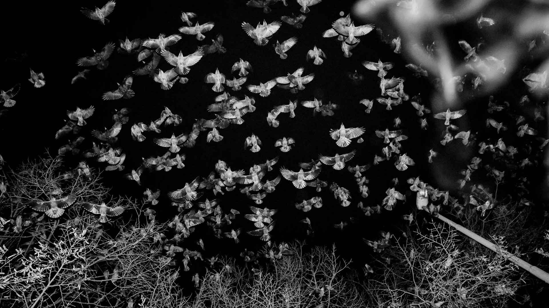 Η Αθήνα τη νύχτα, σε φωτογραφίες-1