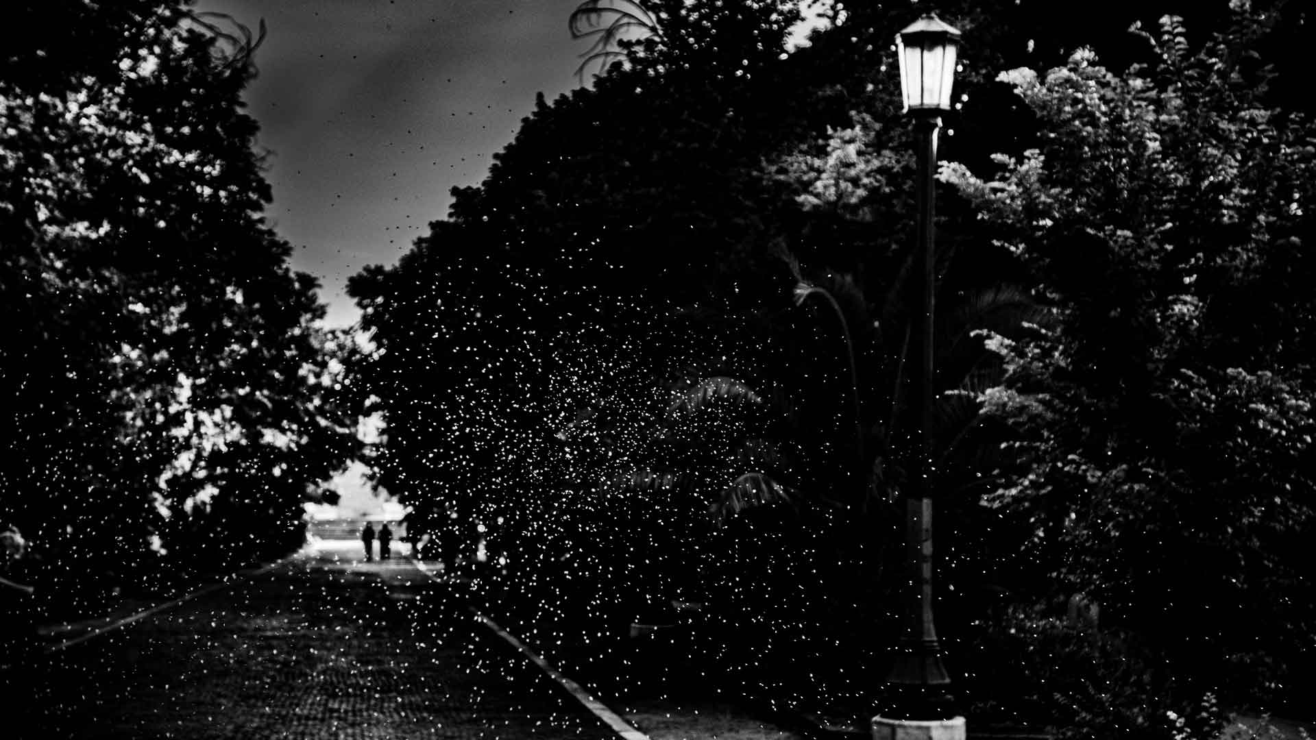 Η Αθήνα τη νύχτα, σε φωτογραφίες-3