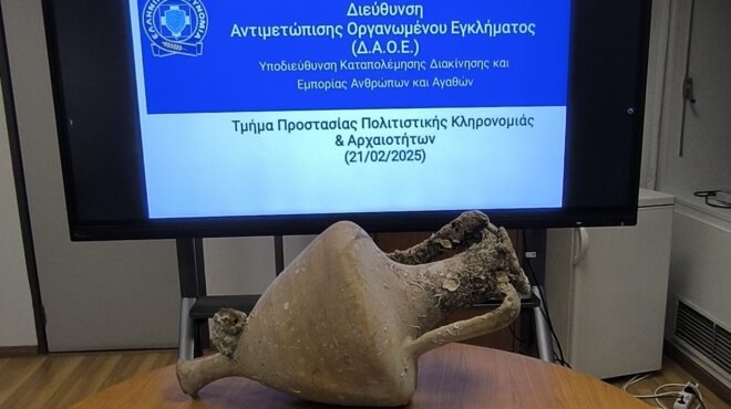 σύλληψη-άνδρα-που-έθεσε-στο-διαδίκτυο-563483689