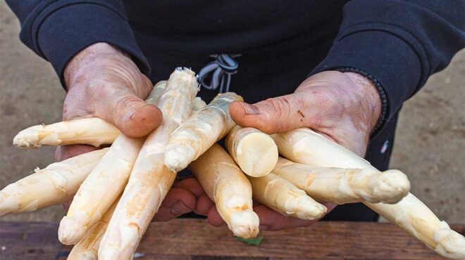 αλεξανδρούπολη-στο-πιάτο-τα-καλύτερα-563452774