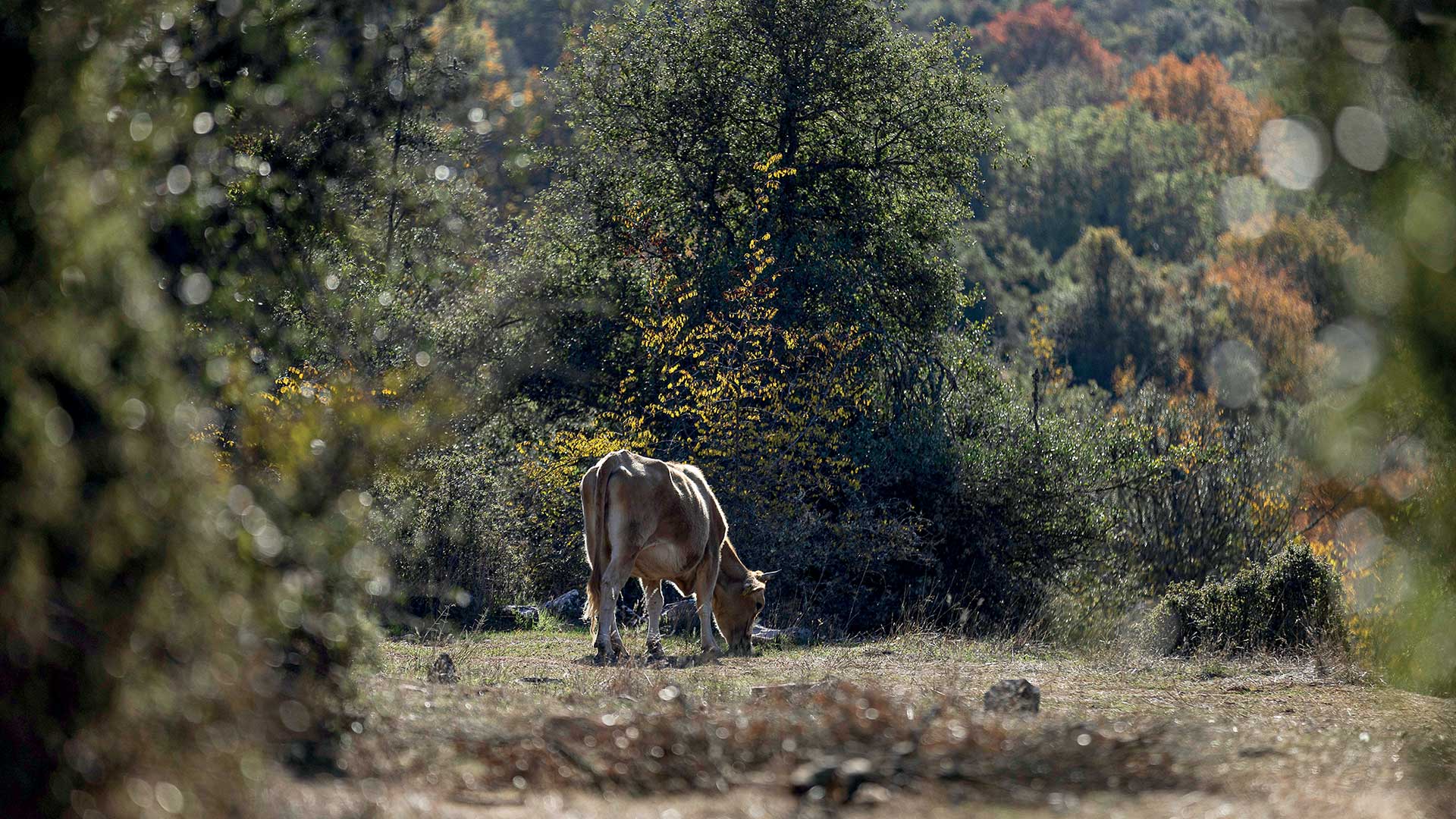 Καβάλα: Ανακαλύψαμε τα μοναδικά μνημεία και την υπέροχη φύση του Δρόμου του Νερού-1