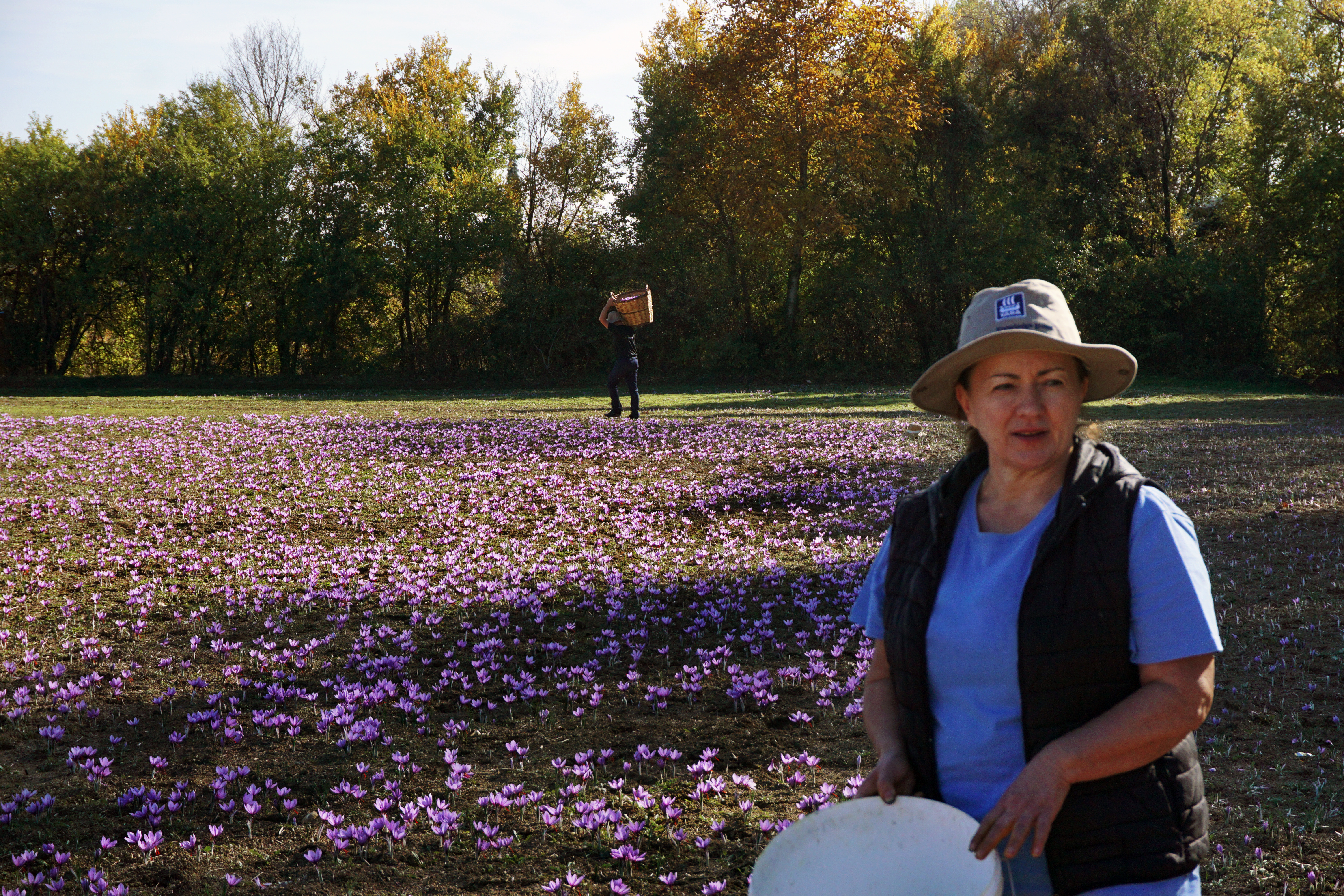 Κροκοχώρια Κοζάνης: «Τα άνθη είναι κομμάτι της ζωής μας»-2