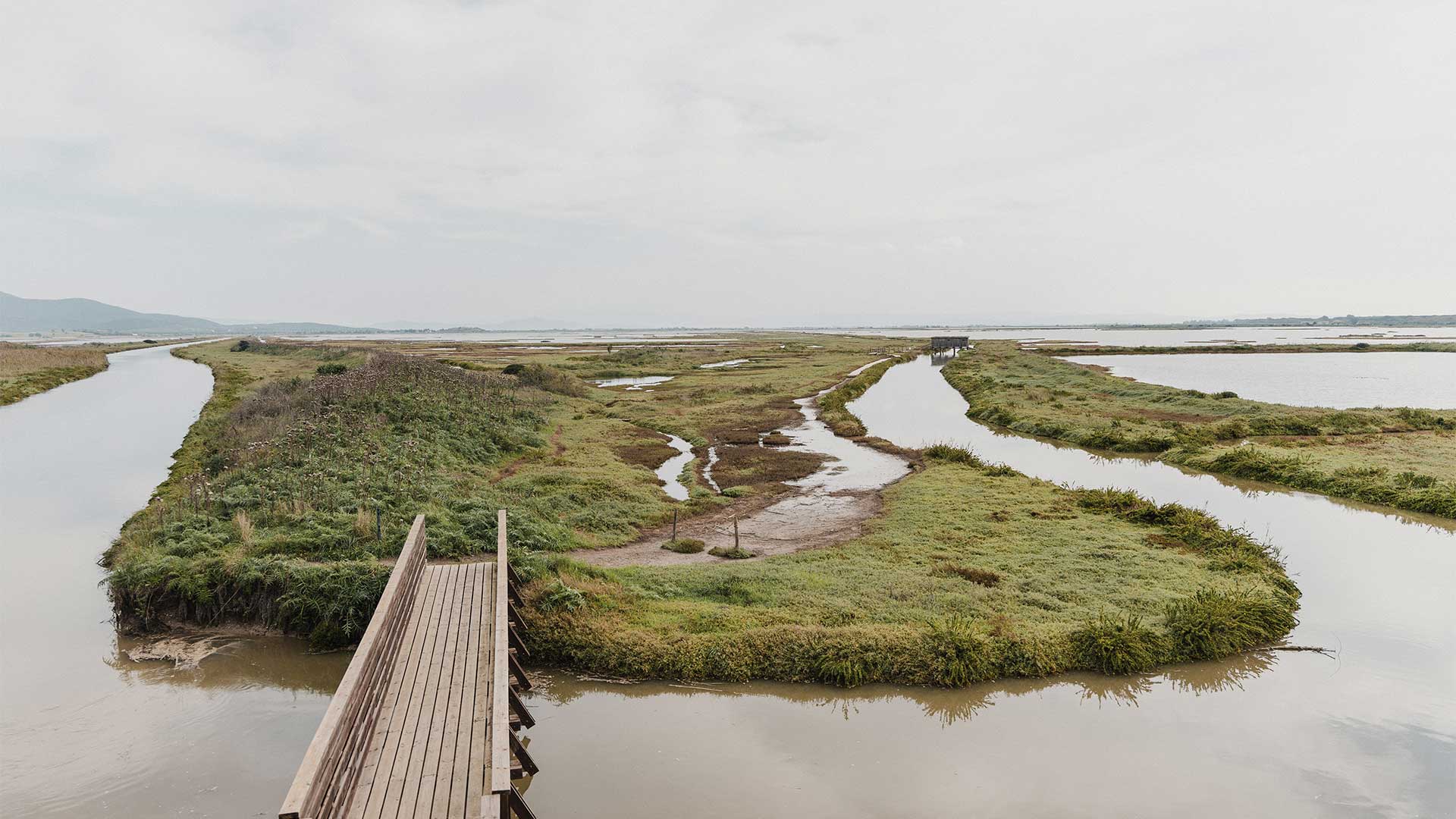 Γκροσέτο: Μαθήματα βιώσιμου τουρισμού στην ήσυχη πλευρά της Τοσκάνης -5