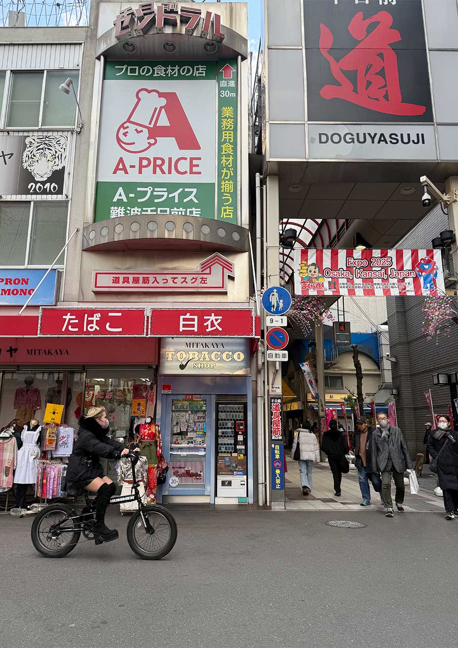 Ιαπωνία: 10 ημέρες σε Τόκιο, Χακόνε, Κιότο, Οσάκα-9