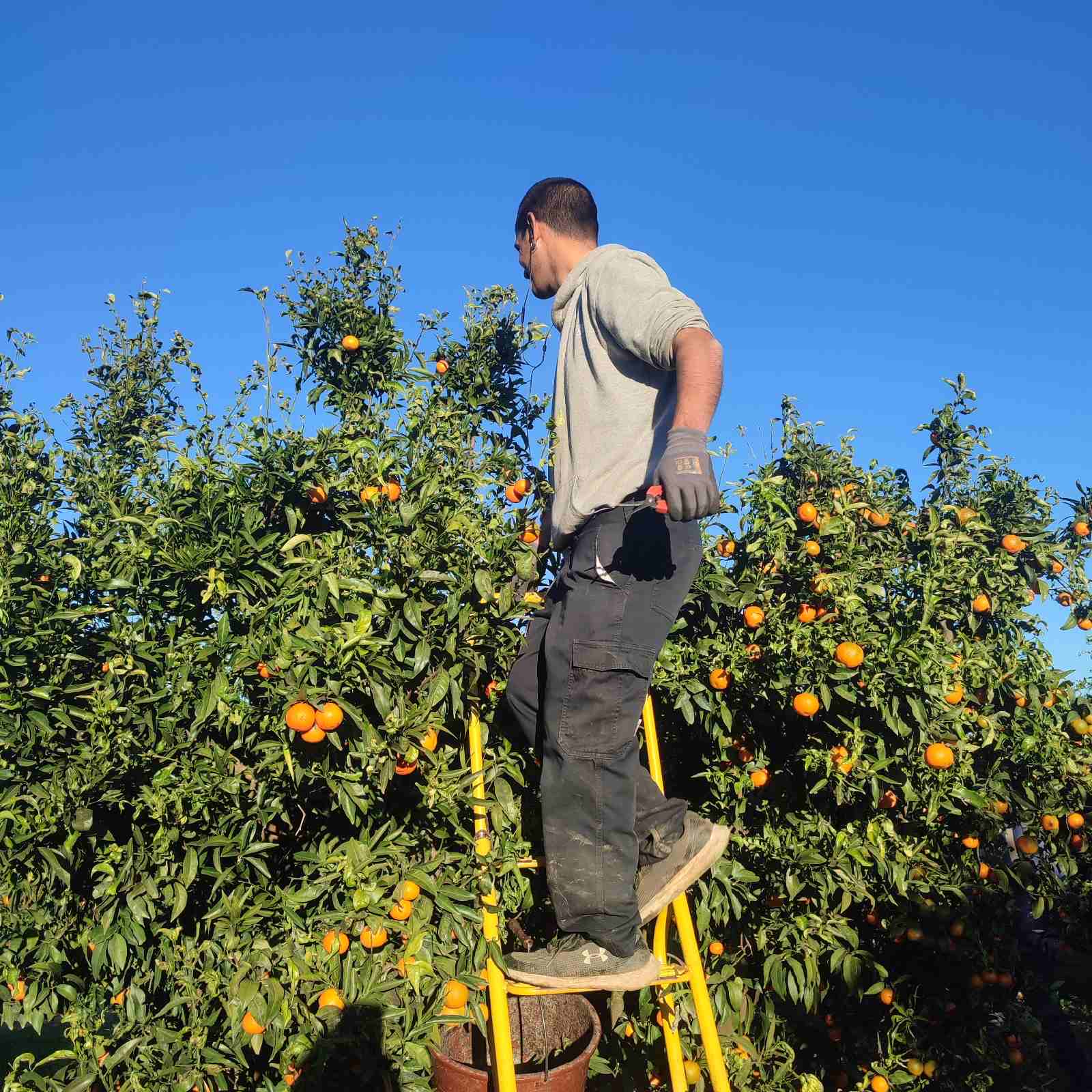 Από τους ελαιώνες της Κρήτης έως τα αμπέλια της Ελβετίας-2