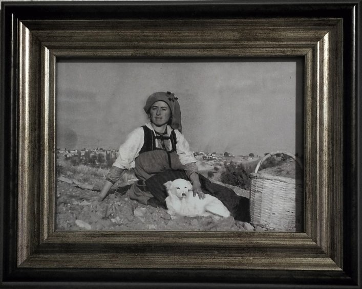 Κροκοχώρια Κοζάνης: «Τα άνθη είναι κομμάτι της ζωής μας»-1