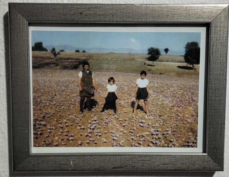 Κροκοχώρια Κοζάνης: «Τα άνθη είναι κομμάτι της ζωής μας»-3