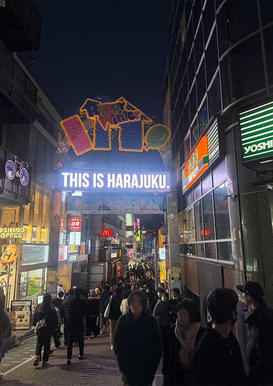 Ιαπωνία: 10 ημέρες σε Τόκιο, Χακόνε, Κιότο, Οσάκα-3