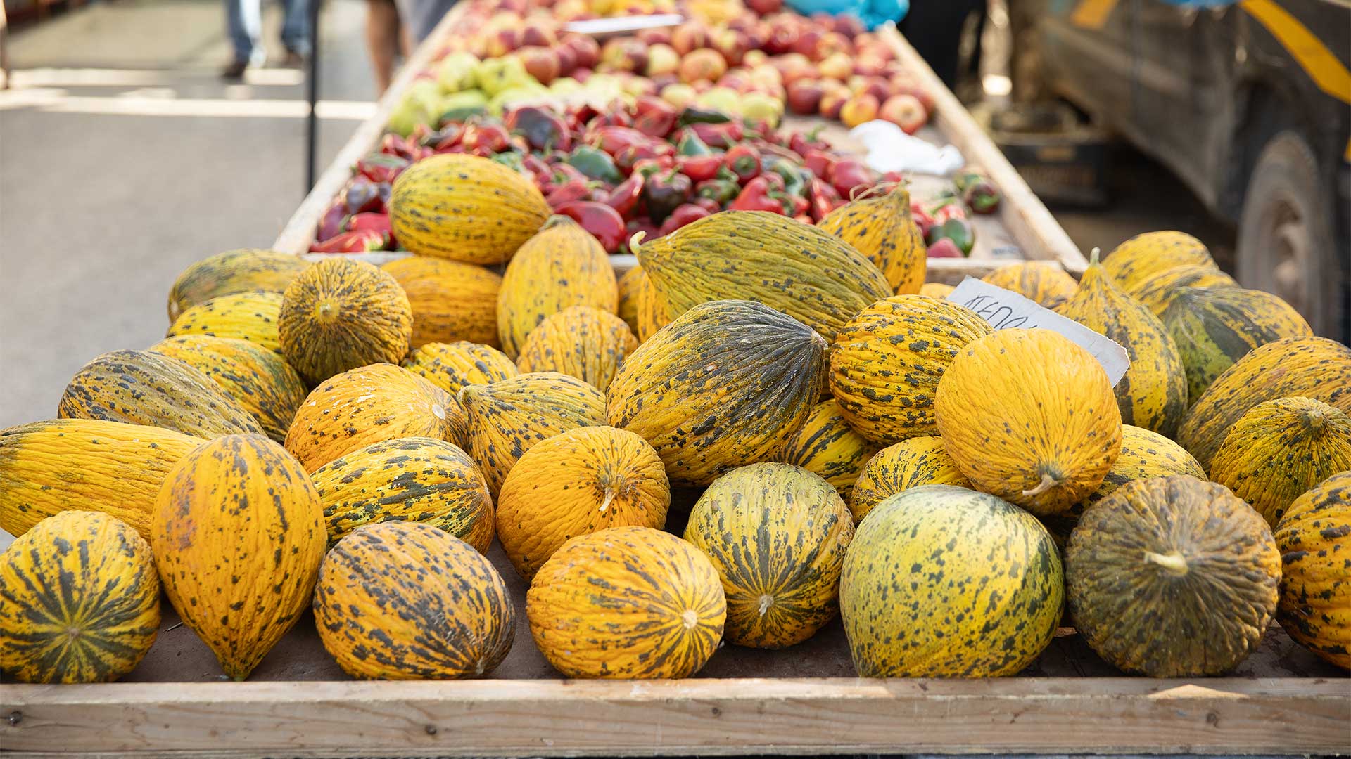 Αλεξανδρούπολη στο πιάτο: Τα καλύτερα τοπικά προϊόντα-4