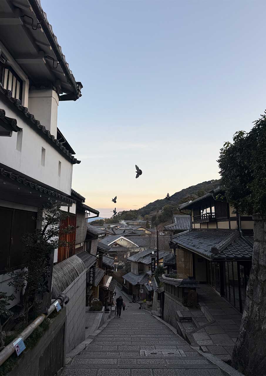 Ιαπωνία: 10 ημέρες σε Τόκιο, Χακόνε, Κιότο, Οσάκα-7