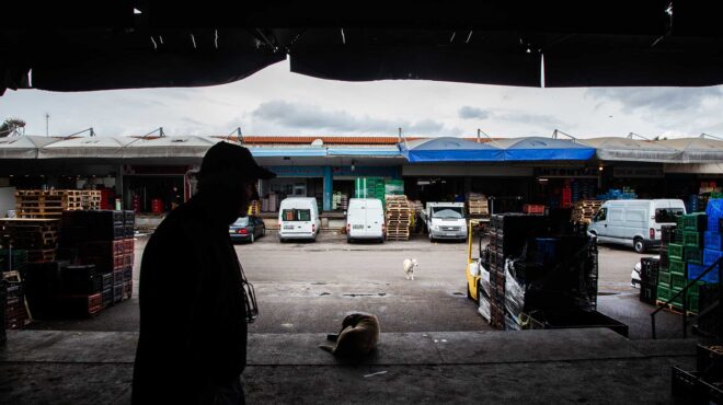 εσείς-έχετε-πάει-για-ψώνια-στην-αγορά-τ-563480602