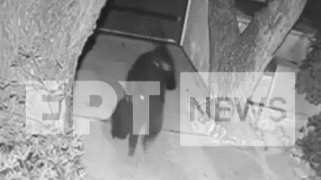 ν-ερυθραία-βίντεο-ντοκουμέντο-με-τους-563458453