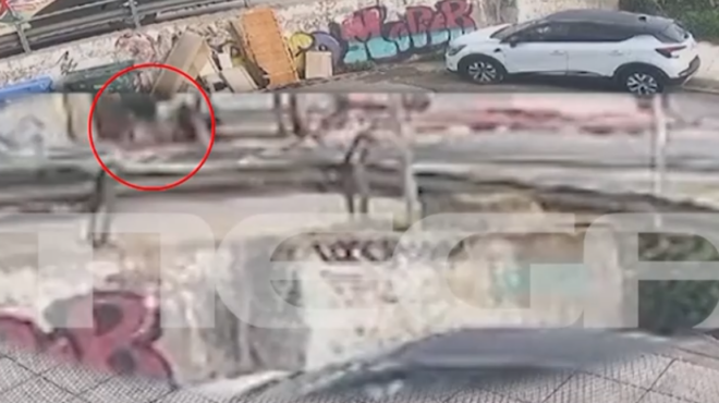 ταύρος-σεκιούριτι-ξέχασε-σηκωμένες-τ-563450737